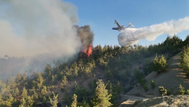 Kahramanmaraş Onikişubat’ta orman yangını: Kontrol altına alındı