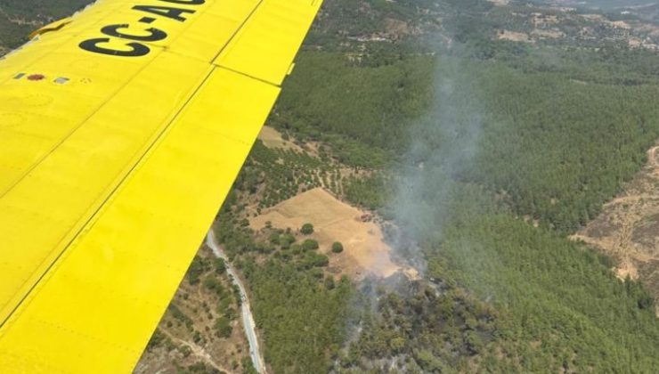 Muğla’da orman yangını