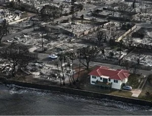Hawaii yangınında zarar görmeyen “mucize ev” gündem oldu