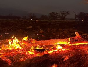 Hawai’deki orman yangınlarında can kaybı 93’e yükseldi: “Yaşadığımız en büyük felaket”