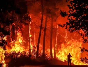 Yunanistan’da orman yangını paniği