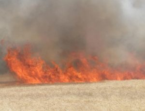 Elazığ’da samanlık ve arazi yangını: 60 dönüm arazi kül oldu