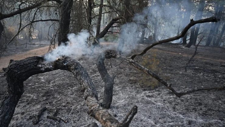 Çanakkale’deki yangın bölgesinde soğutma çalışmaları sürüyor