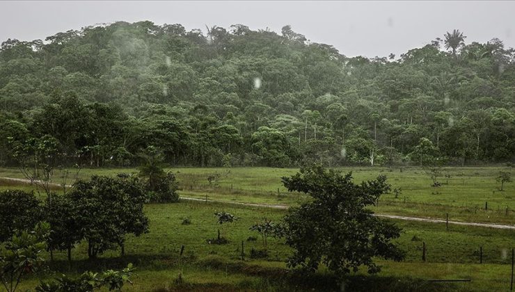 Güney Amerika’daki 8 ülkeden Amazon’daki ormansızlaştırmaya karşı mücadelede işbirliği