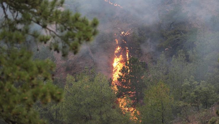 Dün başlayan orman yangınları 4 ilde sürüyor
