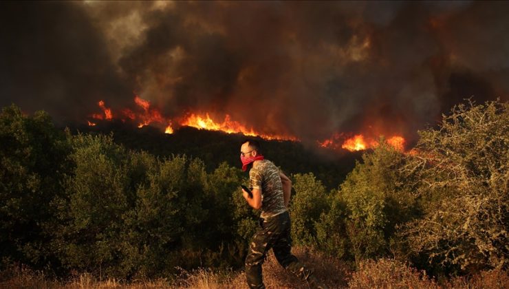 Yunanistan’daki orman yangınlarında 9. gün