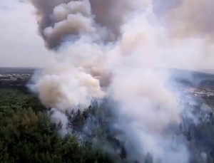 Avustralya’daki orman yangınlarında 14 bin hektar alan kül oldu