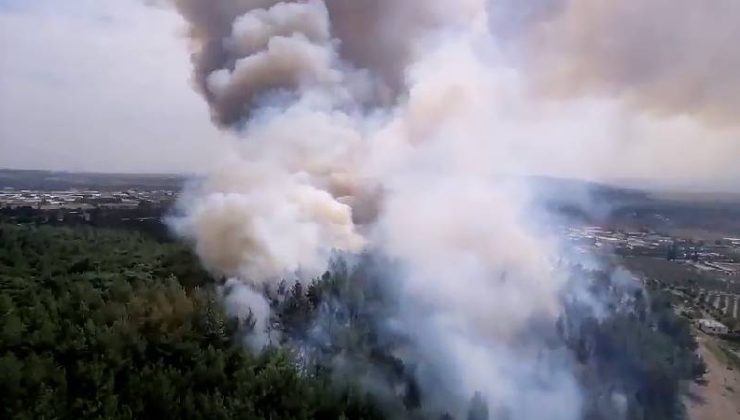 İzmir’de orman yangını çıktı: Hava trafiği aksadı