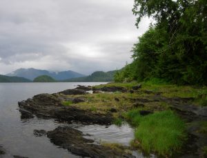 Alaska, Biden Yönetimine Karşı Tongass Ulusal Ormanı’nın Korunmasını İstemiyor