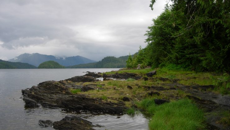 Alaska, Biden Yönetimine Karşı Tongass Ulusal Ormanı’nın Korunmasını İstemiyor