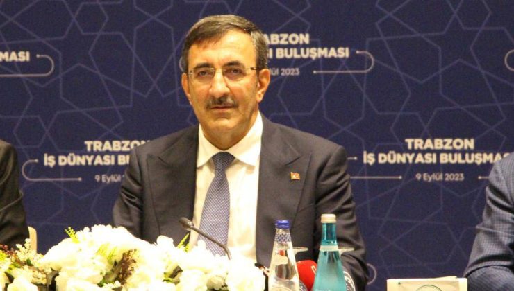 Cumhurbaşkanı Yardımcısı Yılmaz: Aile ve Gençlik Bankası’nı kuracağız