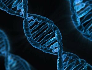 DeepMind, DNA’da hastalığa yol açan genlerin bulunmasını hızlandırıyor