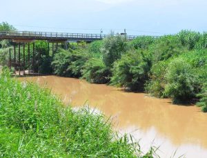 Gediz Nehri ‘çok kirli’ çıktı