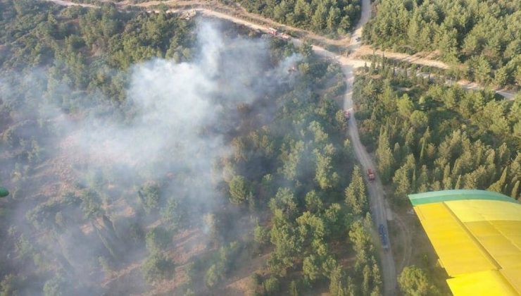 İzmir’de orman yangını çıktı: Ekiplerden müdahale