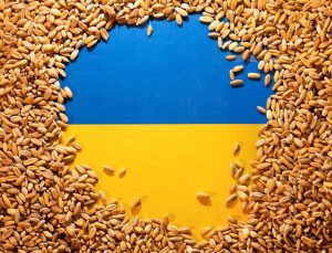 Ukrayna, tahıl ithalatını yasaklayan AB ülkelerine dava açmaya hazırlanıyor