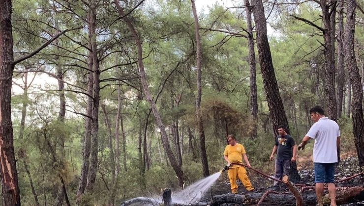 Muğla’da yıldırımlar 36 yerde yangına neden oldu