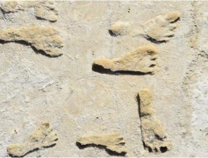 Kuzey Amerika’daki en eski insan ayak izleri en az 21 bin 500 yıllık