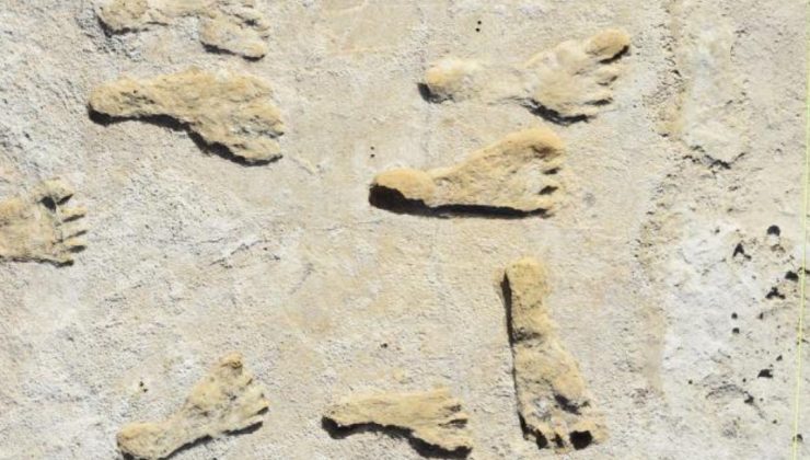 Kuzey Amerika’daki en eski insan ayak izleri en az 21 bin 500 yıllık