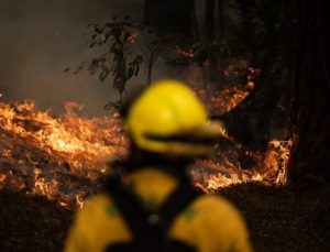 Kanarya Adaları’nda orman yangını: 3 binden fazla kişi tahliye edildi