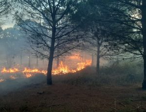 Karabiga’daki orman yangını kontrol altına alındı