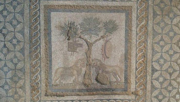 “Dionysos Kült Mekanı”nı yansıtan aslanlı mozaik bulundu
