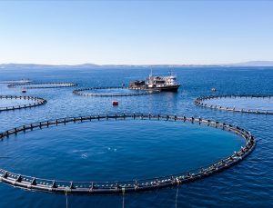 Türkiye su ürünleri sektöründe Avrupa’da birinci sıraya yükseldi