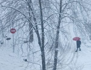 Batı Karadeniz’de kuvvetli kar uyarısı