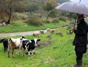 Lübnan’ın çiftçileri çatışmalardan endişe duyuyor