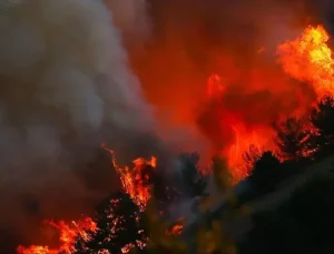 ABD’nin Texas eyaletinde orman yangınları nedeniyle “acil durum” ilan edildi