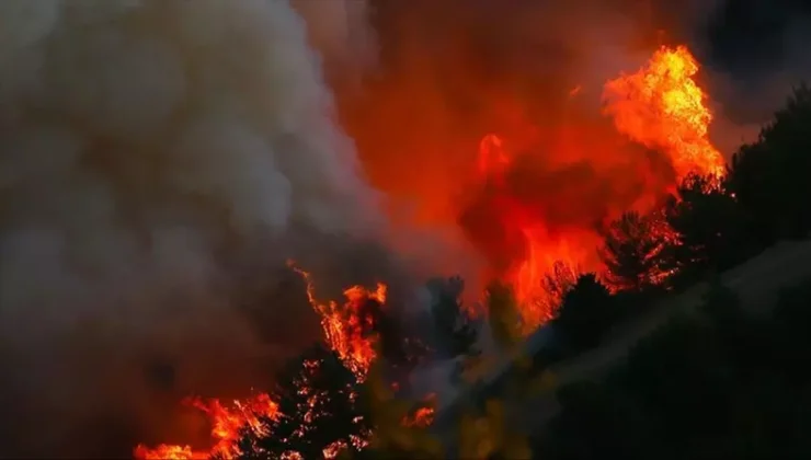 ABD’nin Texas eyaletinde orman yangınları nedeniyle “acil durum” ilan edildi