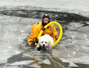 Donmuş gölette mahsur kalan köpek, itfaiye ekipleri tarafından kurtarıldı