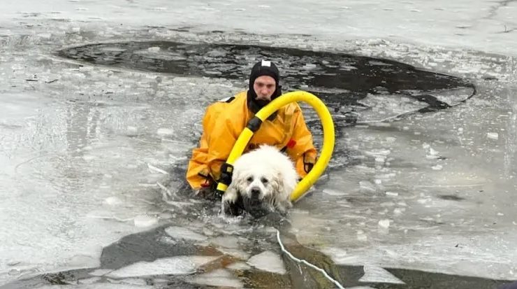 Donmuş gölette mahsur kalan köpek, itfaiye ekipleri tarafından kurtarıldı