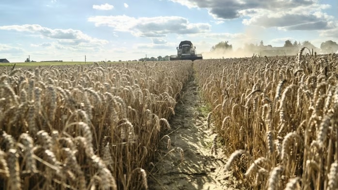 Polonya Ukrayna’dan gelen tüm tahıl ürünleri için kalite kontrolü yapacak