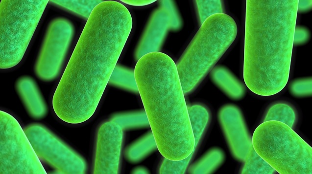 Bilim insanları ilaca dirençli bakterilere karşı etkili yeni sentetik antibiyotik geliştirdi