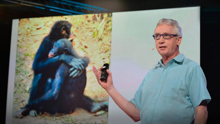 Ünlü primatolog Frans de Waal hayatını kaybetti