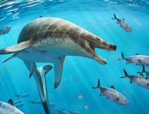 Dinozor çağında yaşamış dev deniz kertenkelesi türü keşfedildi