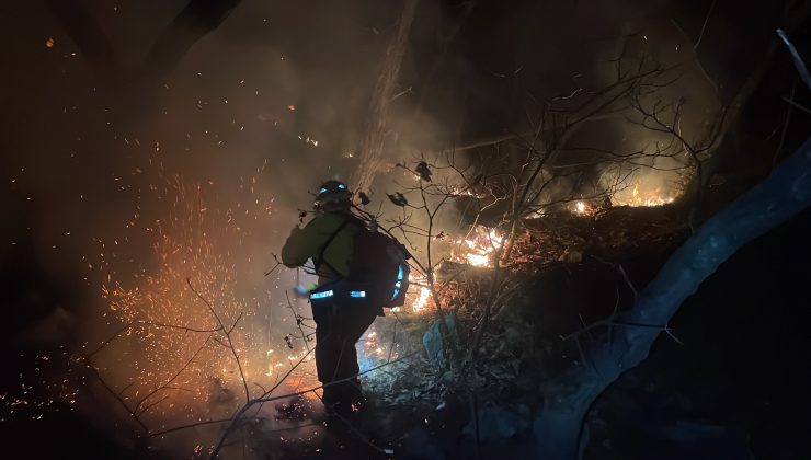 Colorado’da orman yangınında 1 kişi öldü