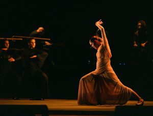 “Uluslararası İstanbul Dans Günleri” flamenko gösterisiyle başladı