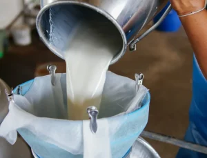 TÜSEDAD: Çiğ süt zammı kabul edilebilir değil
