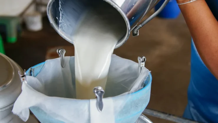 TÜSEDAD: Çiğ süt zammı kabul edilebilir değil