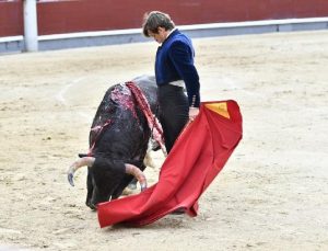 Kolombiya’da boğa güreşleri yasaklanıyor