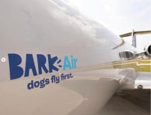 ABD’DEN köpeklere özel havayolu: BARK Air