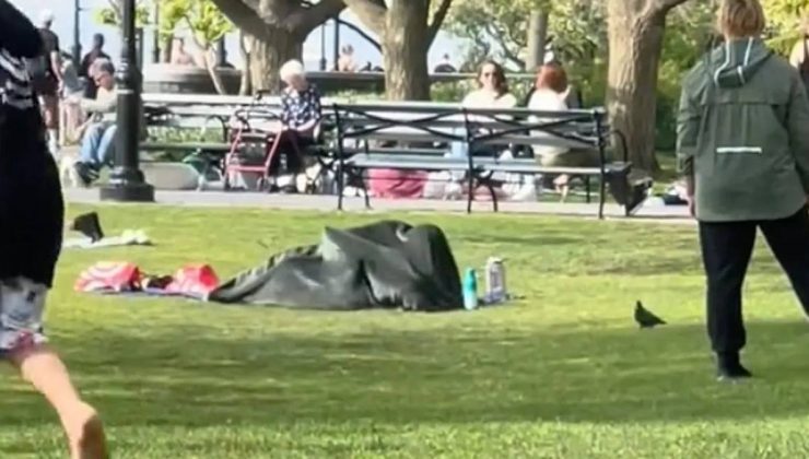 Parkta battaniye altında seks yapan çift öfkeye yol açtı