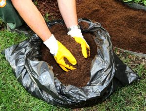 California, cesetlerden kompost yapılmasına onay veriyor