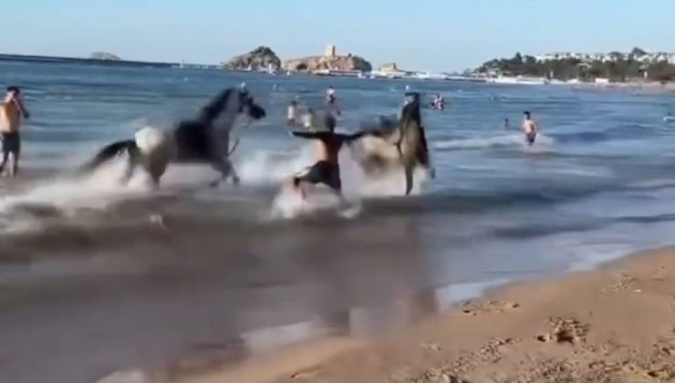 Atlar plaja akın etti