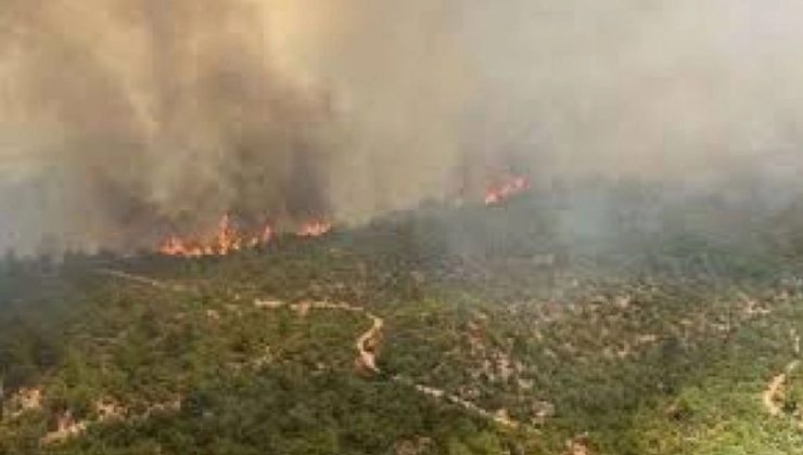 Çanakkale’de çöplük alandan ormana sıçrayan yangın nedeniyle bir mahalle tahliye edildi