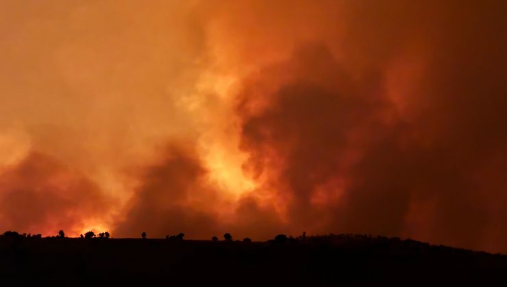 Diyarbakır’da orman yangını: 3 kişi hayatını kaybetti