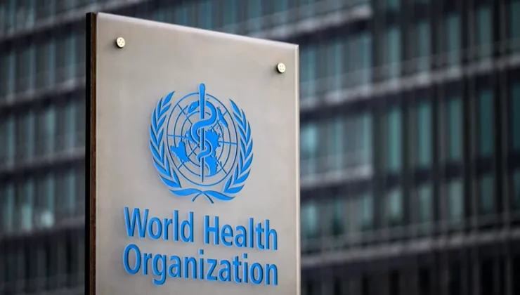 Dünya Sağlık Örgütü ‘zararlı ürünler’ raporunu açıkladı