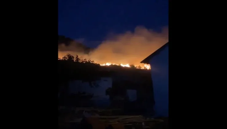 İzmir’de korkutan yangın: Bir mahalle tahliye edildi