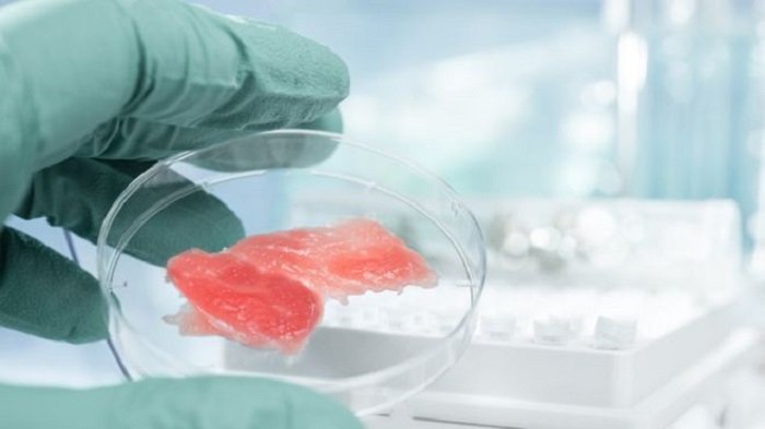 ABD’de bazı eyaletler laboratuvar ortamında elde edilen et ürünlerini yasaklıyor 